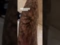 Viral Nair Video