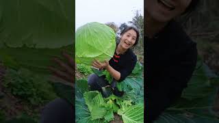 agricultura chinesa