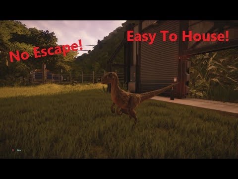 Jurassic World Evolution. No Raptor Escapes!? How to Care for your Velociraptors!