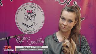 Дела житейские: как ухаживать за маленькой собакой