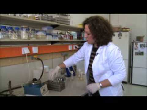 Život u ekstremnim uvjetima