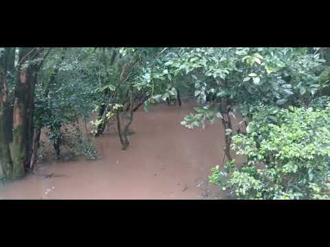 El monte esta todo inundado⛰️⛈️#itacaruare#misiones