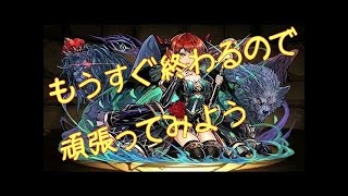 【パズドラ】８月のクエストダンジョン　チャレンジLv10　新グレモリーPT　ポンコツパズル