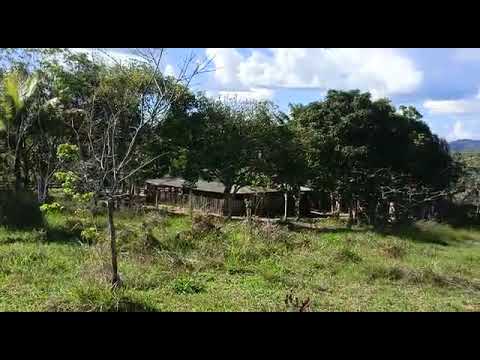 300 hectares of livestock farming in Roraima. More details in the description below 👇👇 95 9917755...