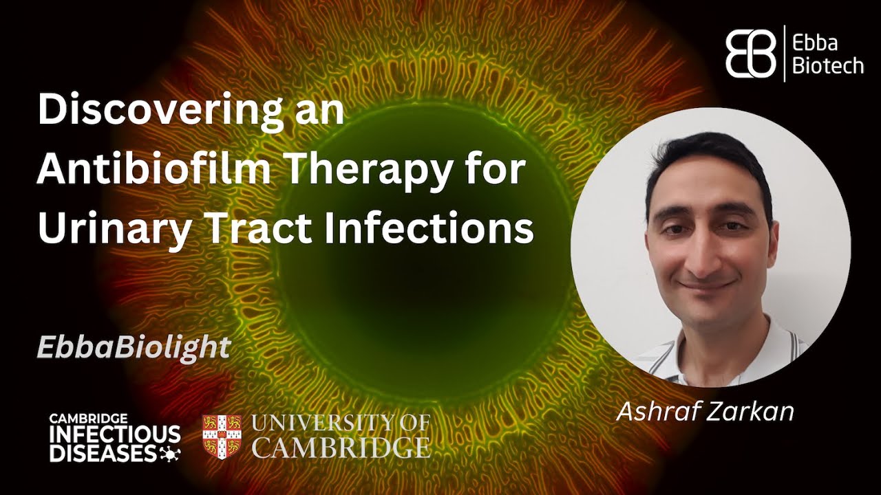 Discovering an Antibiofilm Therapy for Urinary Tract Infections