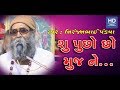 Su Pucho Cho Mujne Ke Hu Su Karu Chu Niranjan Bhai Pandya Gujarati Bhajan