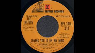 LOVING YOU IS ON MY MIND / THE METERS [REPRISE RPS 1314](PROMOTION)