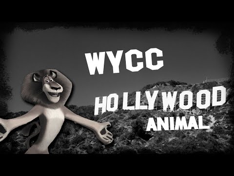 *AD* Hollywood Animal (Стрим от 10.06.2024)