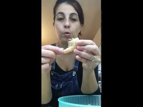 CODE DI MAZZANCOLLE ALLA CATALANA???