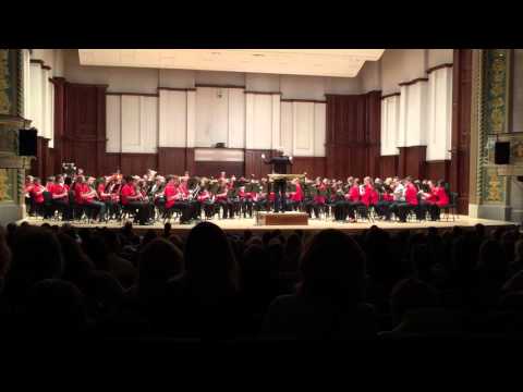 Sebastin playing with DSO Honors Band March 2015