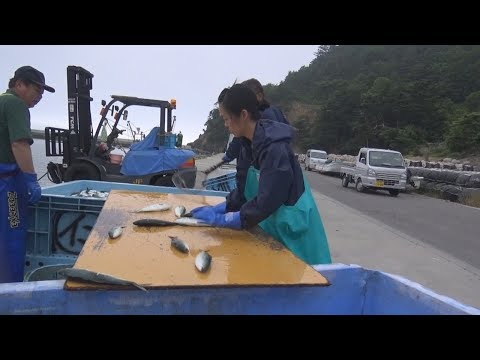 東日本大震災シリーズ58　石巻の漁村暮らし～牡鹿半島・折浜～