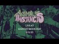 Animal Instincts - Live at Harvest Moon Fest 9/12/25