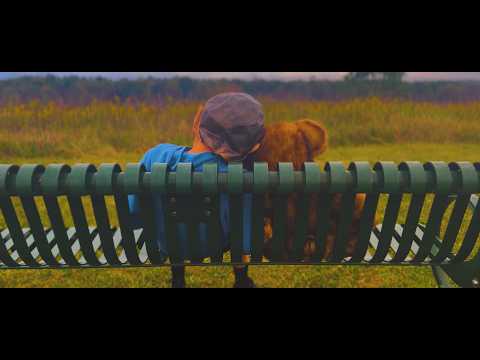 The Boy and the Bear