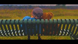 The Boy and the Bear