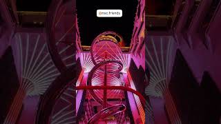 Promenade Msc World Europa ♥️ with msc friend franchini stark 🫶 Msc Cruises #msccruises #mscworldeur