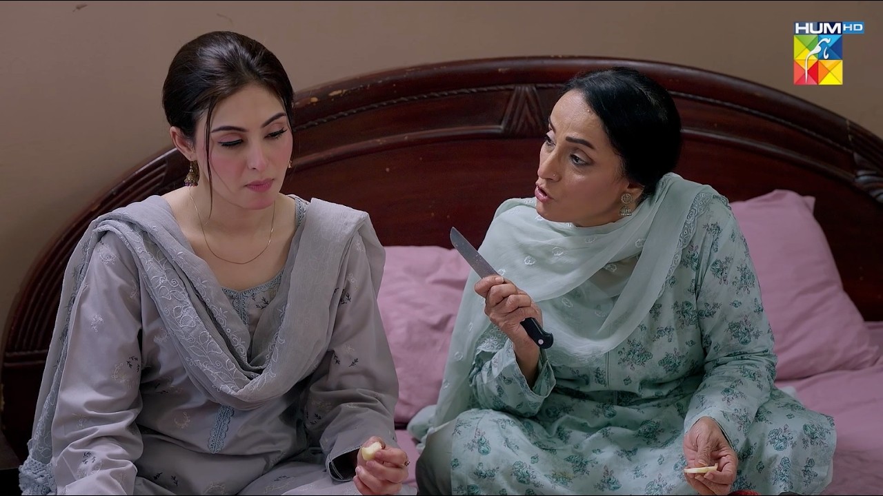 Aik Naya Drama Shuru...! Deewar - [ Sunita Marshall & Ali Abbas ] HUM TV