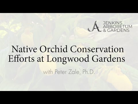 Native Orchid Conservation Efforts at Longwood Gardens with Peter Zale, Ph.D.