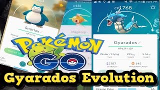 Gyrados Evolution and Snorlax Bad Luck
