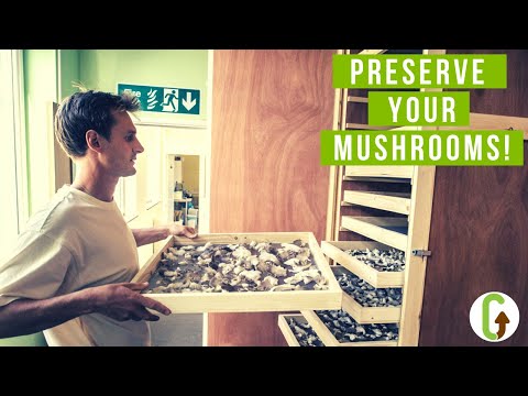 9 Ways To Preserve Mushrooms | GroCycle