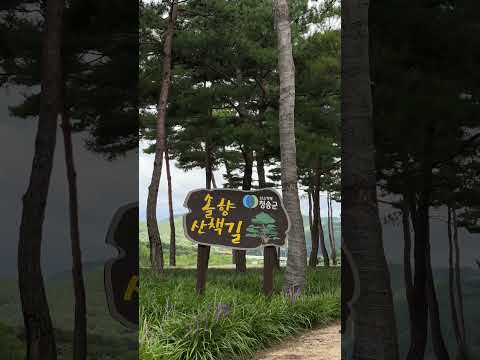 맨발의 청춘