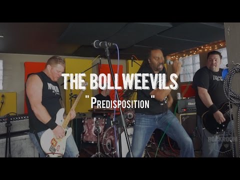 The Bollweevils - 