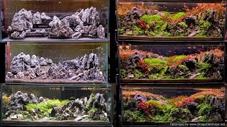 Setup process of 4ft Cave & ridgeline scape