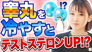 【都市伝説】キン〇マを冷やすと精子がドバる！？医師が真偽を解説