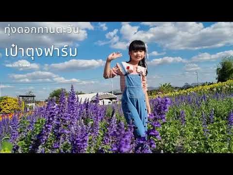 เป๋าตุงฟาร์ม