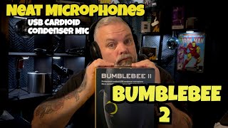 Bumblebee 2 USB Mic Review  The Best Budget Mic for Creators?