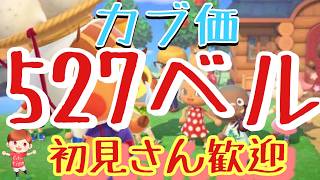 【あつ森】カブ価527ベル島など　ライブ参加型