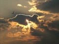 Mark Isham - The Melancholy of Departure