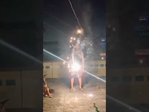MY DOGS REACTION TO FIREWORKS (Diwali Vlog)/Sulagna Mukherjee #diwalispecial