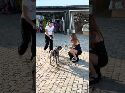 es gibt so nette Menschen 😍🥰