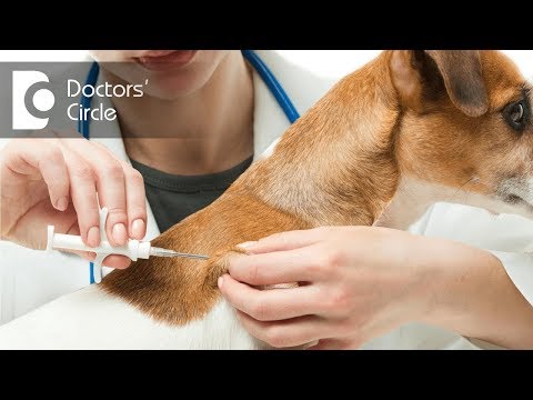 Are Rabies vaccines effective if bitten by dog many years  ago? - Dr. Sharat Honnatti