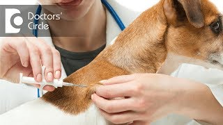 Are Rabies vaccines effective if bitten by dog many years  ago? - Dr. Sharat Honnatti