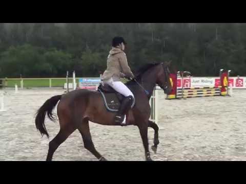 Ilona Turowska & CALINDA PJ - 1st show 80 cm