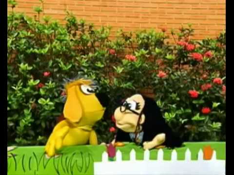 Zeca+e+Filó-Video de Cliente