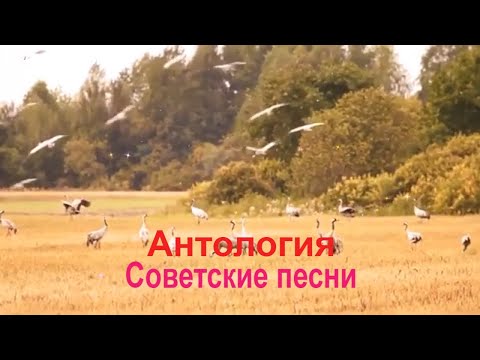 Антология советской песни- "Летят перелётные птицы"...(cover)