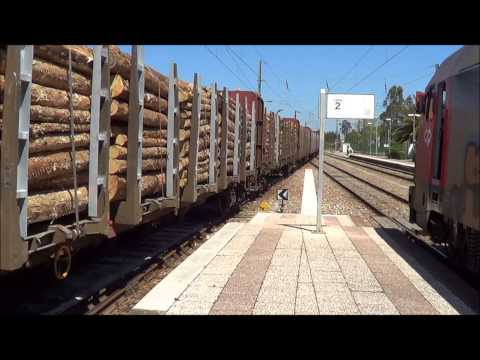 Comboio de Madeira nº 48892 e de Cimento nº 64633