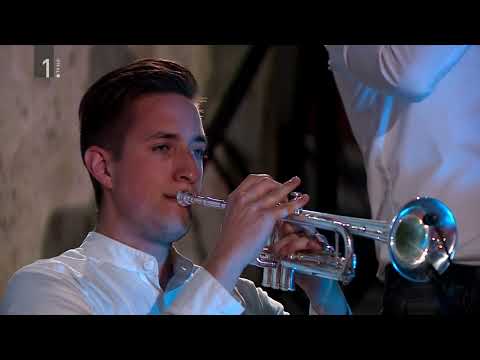 VRLI MUZIKANTI - TU SMO DOMA