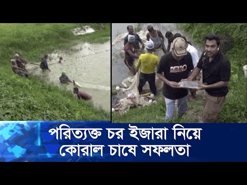 পরিত্যক্ত চরে কোরাল মাছ চাষে ভাগ্য বদল ৬ চাষীর