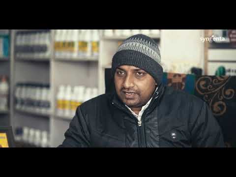 Syngenta RISQ Test | Grower Testimonial | Kurukshetra - Haryana