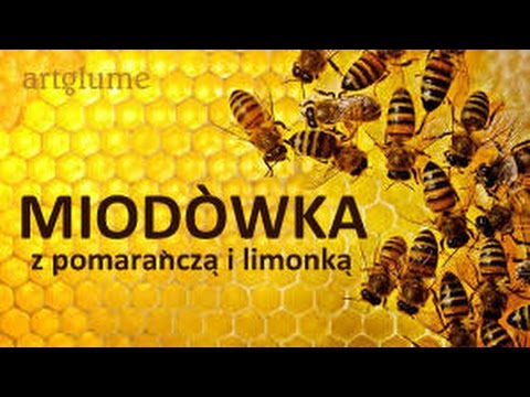 MIODÓWKA (nalewka ok. 40%)  - prosty sprawdzony przepis