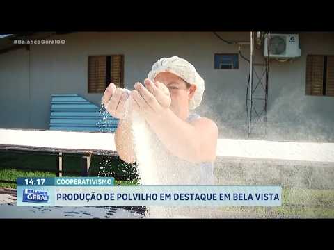 PRODUÇÃO DE POLVILHO EM DESTAQUE EM BELA VISTA DE GOIÁS 