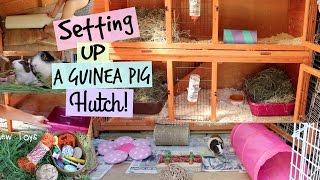 SETTING UP A HUTCH | Hamster HorsesandCats