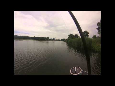 Season 2013 carp catches SEB part one