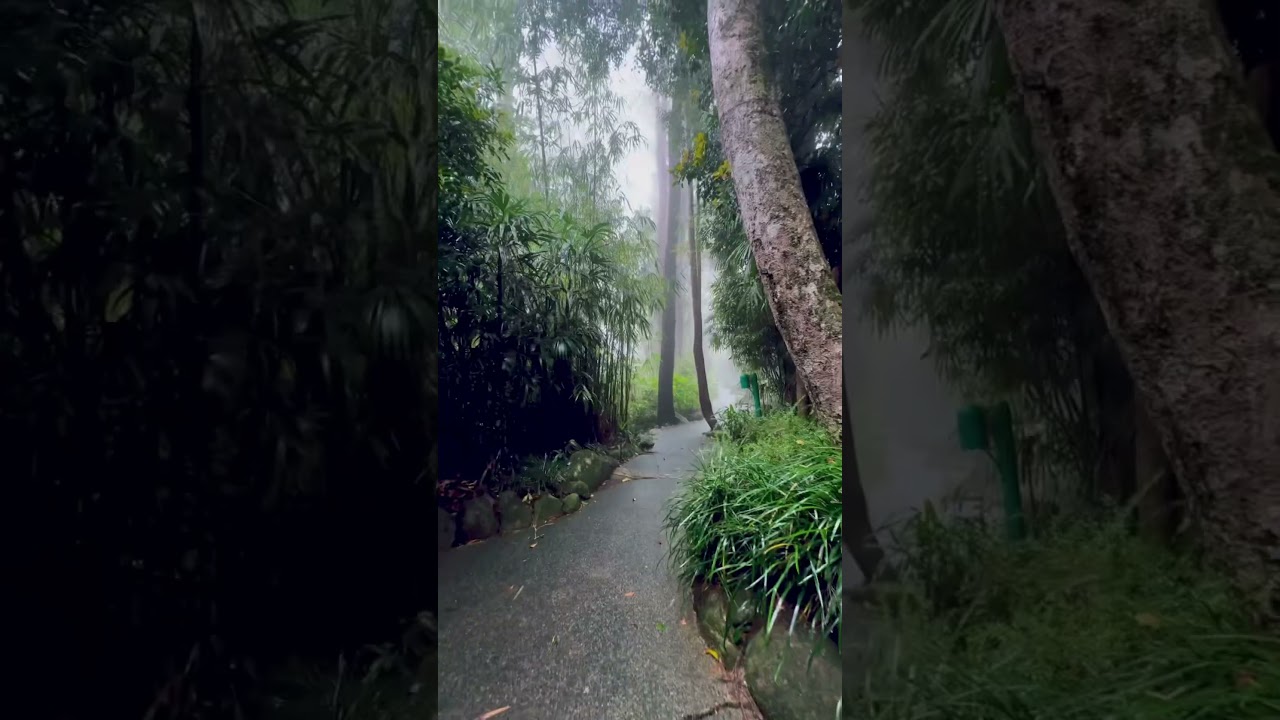 Japanese Garden, Bukit Tinggi, Pahang — Malaysia #travel #dayinmylife #nature #malaysia