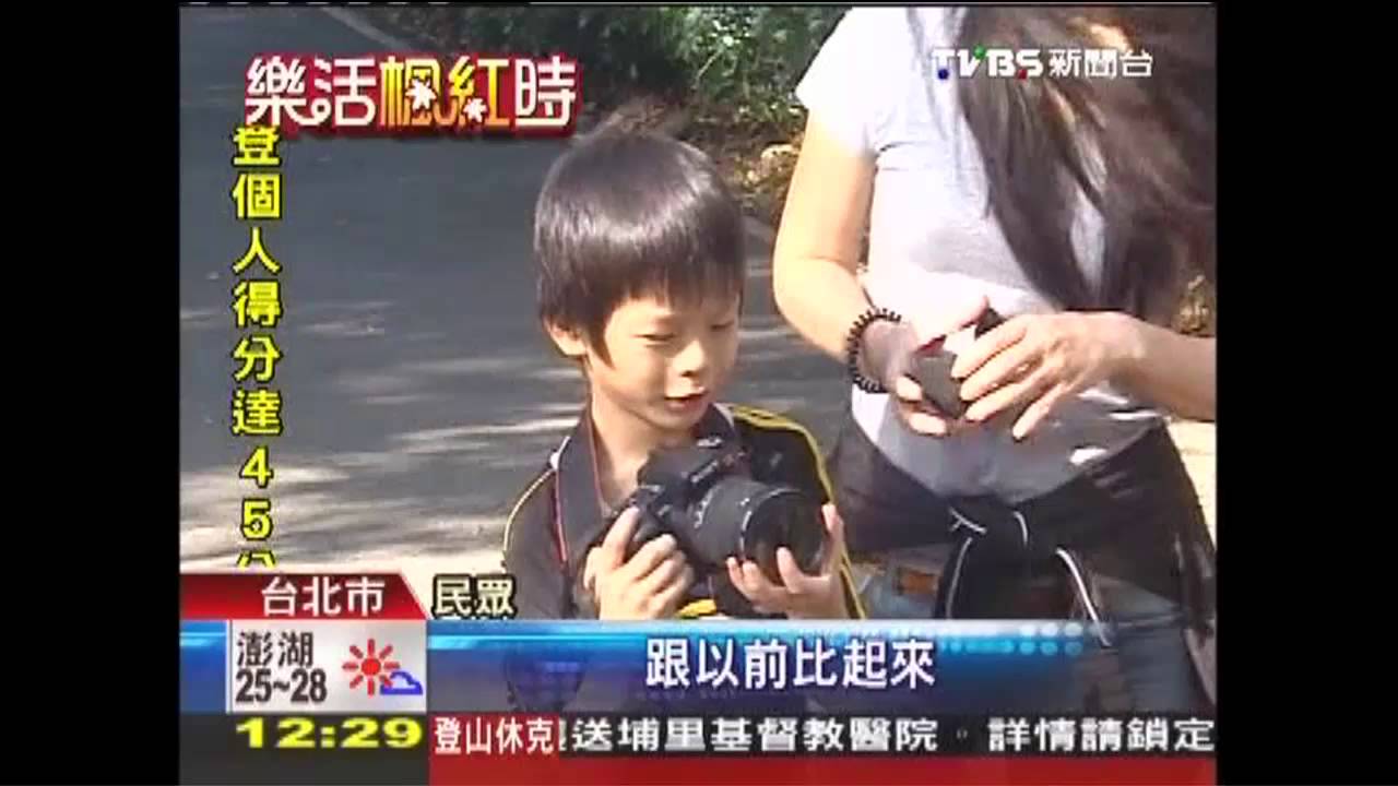 冷得慢! 陽明山古道楓葉綠油油