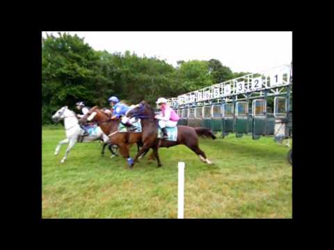 start van renpaarden op Duindigt in slow-motion