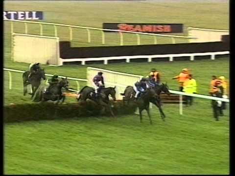 1994 Martell Mersey Novices' Hurdle